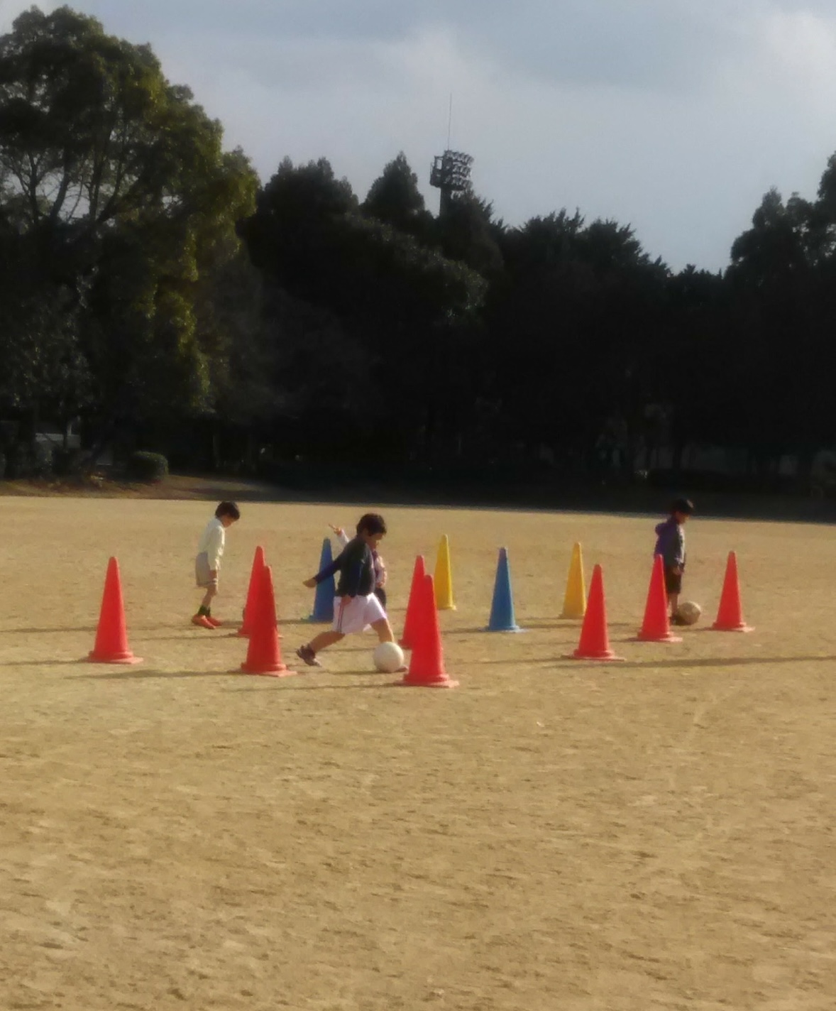 基礎トレーニング